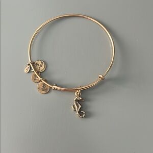 Alex and Ani Gold Adjustable Charm Bracelet